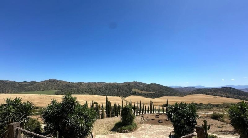 Málaga - Almogía - 5200m2