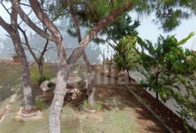 Ciutadella de Menorca 231&nbsp;m²
