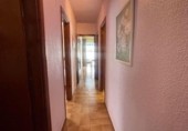 Chalet independiente con terreno en venta en la España, Elche, ref: TR407009 foto