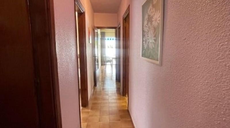 Alicante - Эльче - 630m2