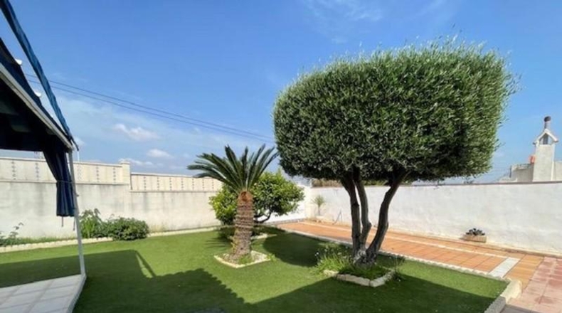 Alicante - Эльче - 630m2