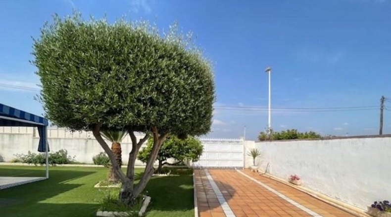 Alicante - Эльче - 630m2