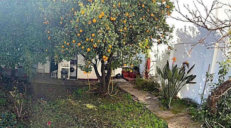 Málaga - Fuengirola - 259m2