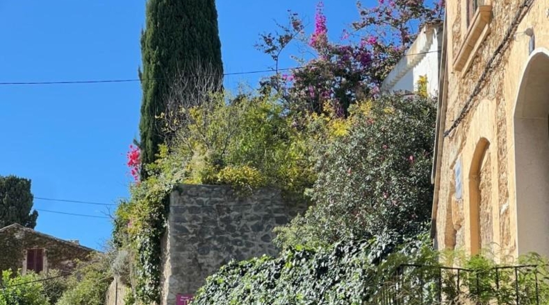 Balearic Islands - Selva - 209m2