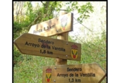 Xalet independent amb terreny en venda a la España, Ronda, ref.: TR219056 foto