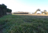 Non-developable land for sale on España, Sant Joan de Palamós, ref: TR117089 photo