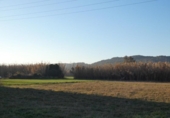Non-developable land for sale on España, Sant Joan de Palamós, ref: TR117089 photo