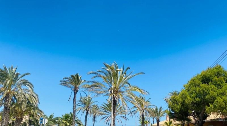 Alicante - Dehesa de Campoamor - 800m2