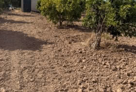 Salteras 1000&nbsp;m² 