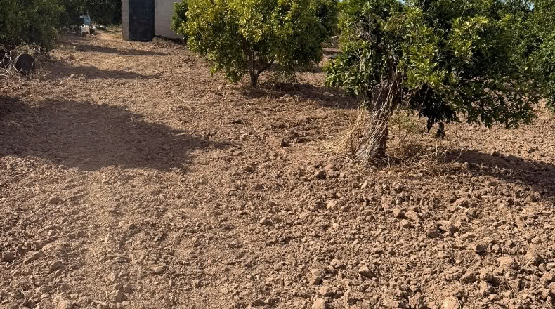 Sevilla - Salteras - 1000m2