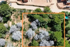Dénia 2244&nbsp;m² 