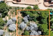 Parcela urbanizable en venta en la Carrer Verge, Dénia, ref: TR407022 foto