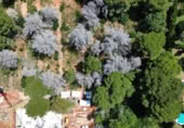 Parcela urbanizable en venta en la Carrer Verge, Dénia, ref: TR407022 foto