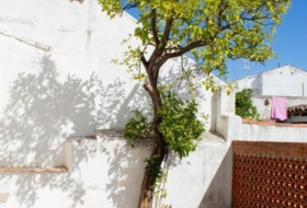 Villar del Rey 336&nbsp;m² 