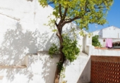 Casa de poble en venda a la España, Villar del Rey, ref.: TR346114 foto