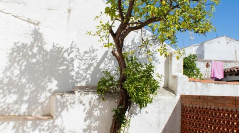 Cáceres - Villar del Pedroso - 336m2