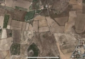 Terreny no urbanitzable en venda a la España, Elx, ref.: TR122776 foto