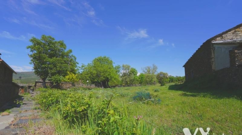 Guadalajara - Campillo de Ranas - 2672m2