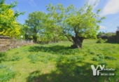 Sòl urbà en venda a la España, Campillo de Ranas, ref.: TR407042 foto