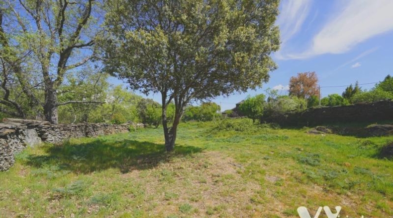 Guadalajara - Campillo de Ranas - 2672m2