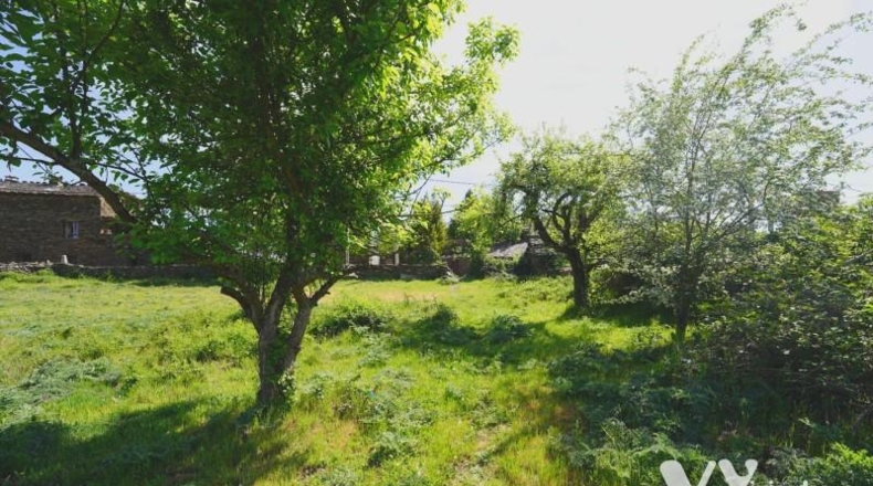 Guadalajara - Campillo de Ranas - 2672m2