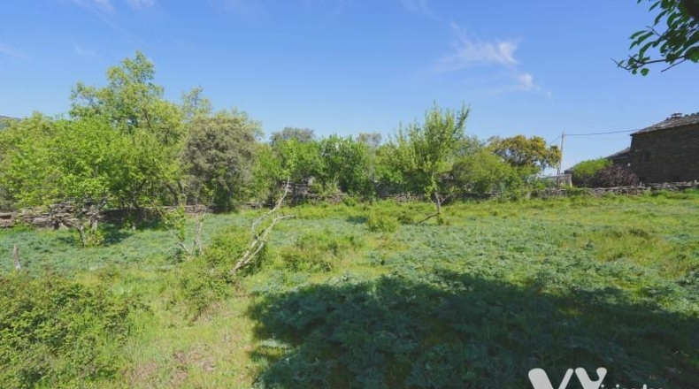 Guadalajara - Campillo de Ranas - 2672m2