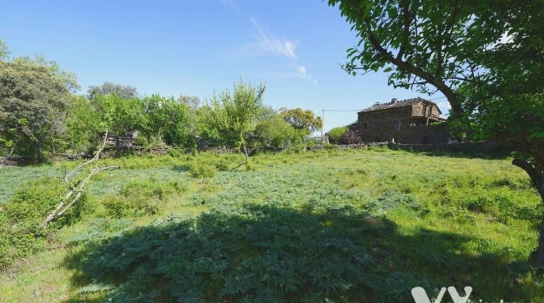 Guadalajara - Campillo de Ranas - 2672m2