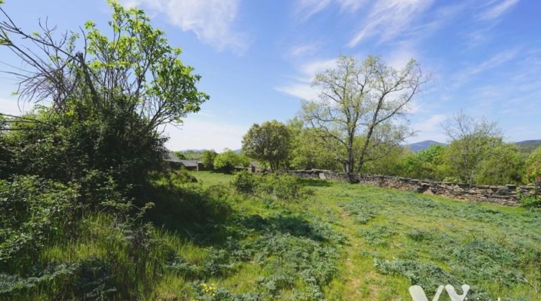 Guadalajara - Campillo de Ranas - 2672m2