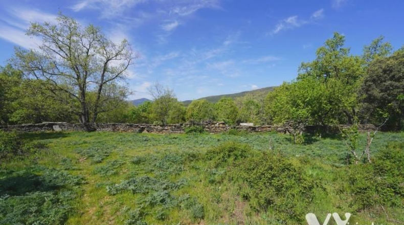 Guadalajara - Campillo de Ranas - 2672m2