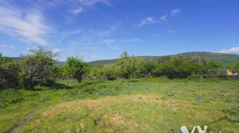 Guadalajara - Campillo de Ranas - 2672m2