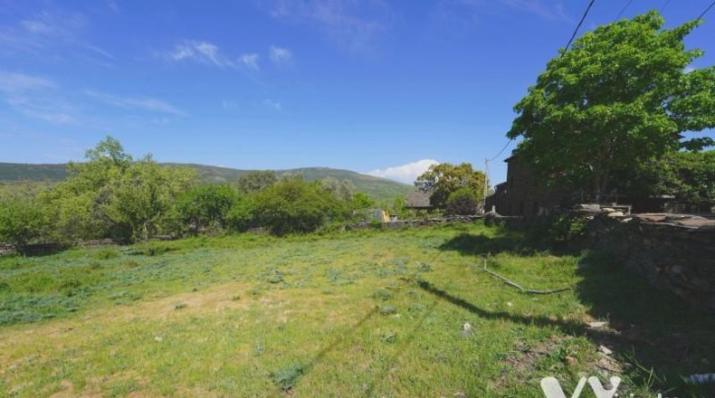 Guadalajara - Campillo de Ranas - 2672m2