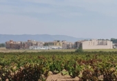Terreny no urbanitzable en venda a la España, Elx, ref.: TR407043 foto