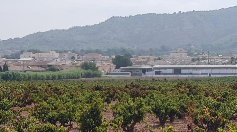Alicante - Elx - 70m2