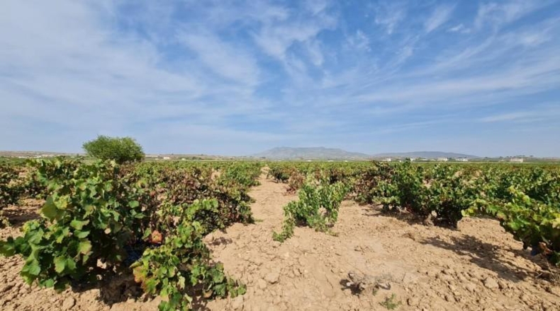 Alicante - Elx - 70m2