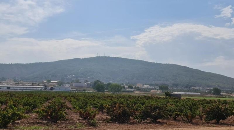 Alicante - Elx - 70m2