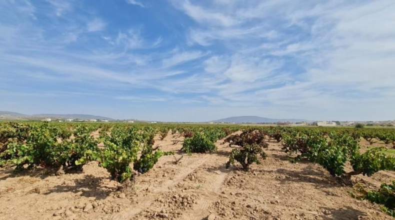 Alicante - Elx - 70m2