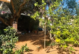Foto 10