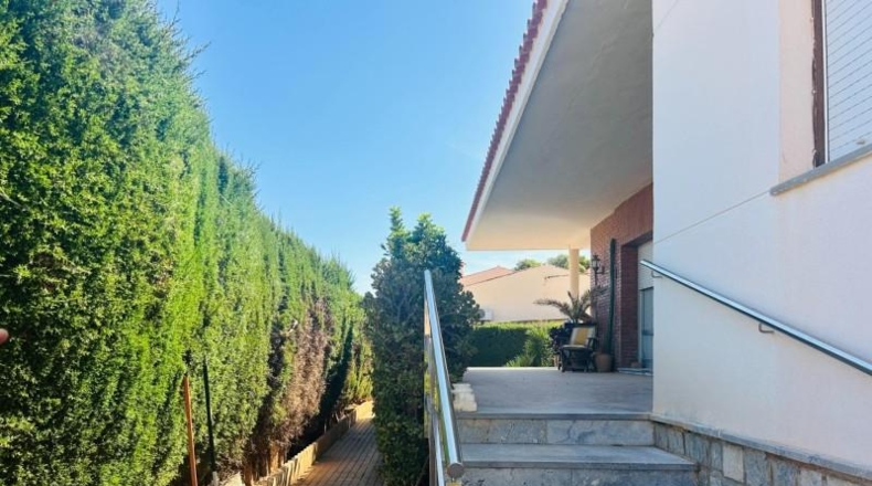 Murcia - Картахена - 800m2