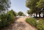 Detached villa with land for sale on España, Novelda, ref: TR396471 photo