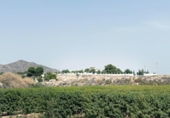 Detached villa with land for sale on España, Novelda, ref: TR396471 photo