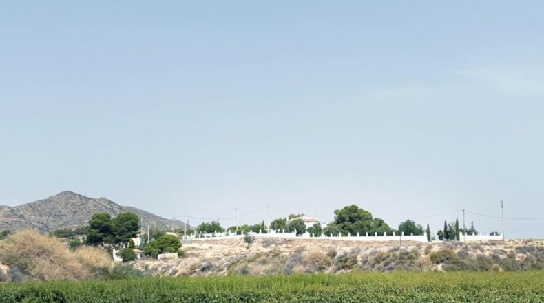 Alicante - Novelda - 10000m2