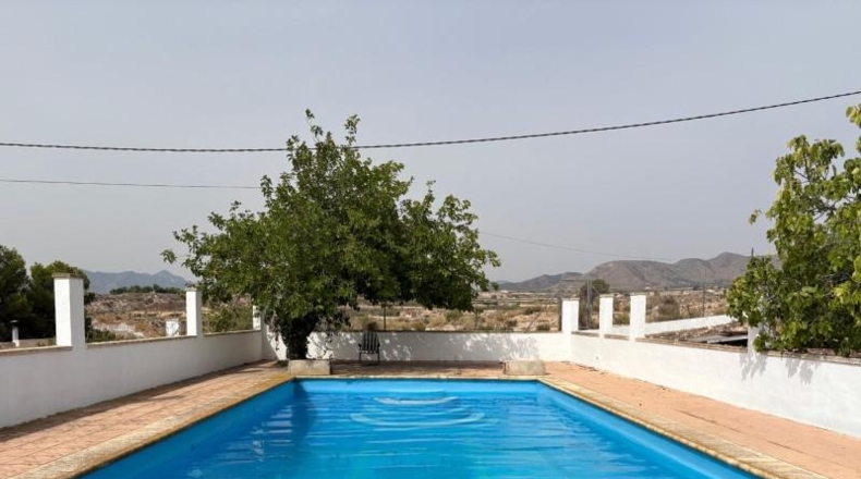 Alicante - Novelda - 10000m2
