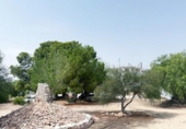 Detached villa with land for sale on España, Novelda, ref: TR396471 photo