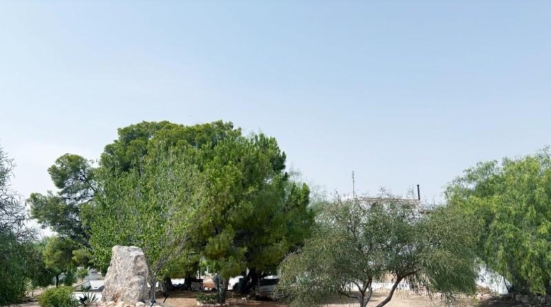 Alicante - Novelda - 10000m2