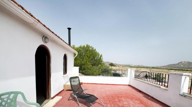 Alicante - Novelda - 10000m2