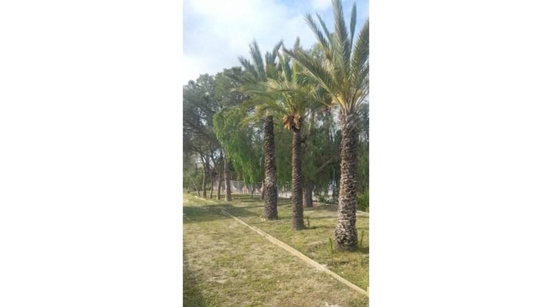 Alicante - San Vicente del Raspeig - 267m2