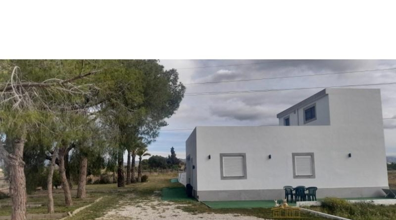 Alicante - San Vicente del Raspeig - 267m2