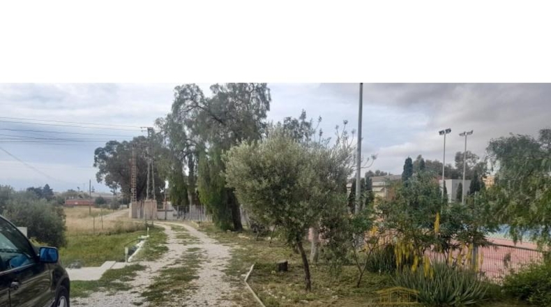 Alicante - San Vicente del Raspeig - 267m2