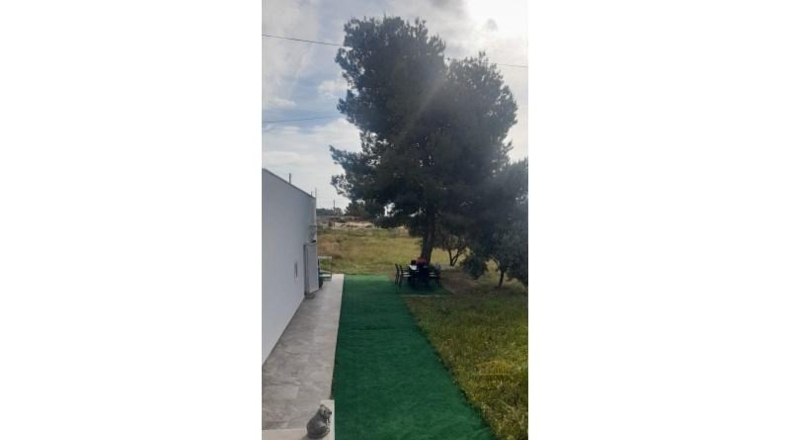 Alicante - San Vicente del Raspeig - 267m2