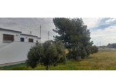 Xalet independent amb terreny en venda a la España, Sant Vicent del Raspeig, ref.: TR405897 foto